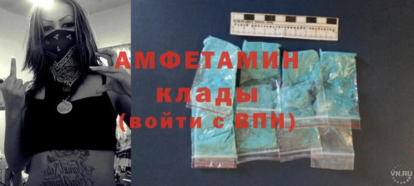 шишки Абаза