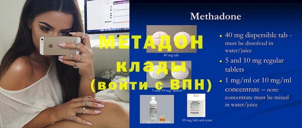 шишки Абаза