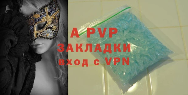шишки Абаза