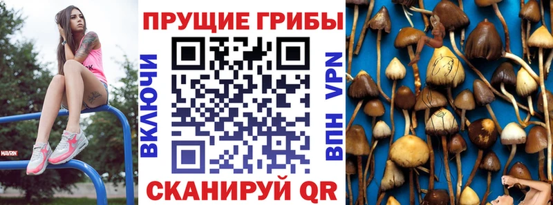 Псилоцибиновые грибы мицелий  Новоуральск 